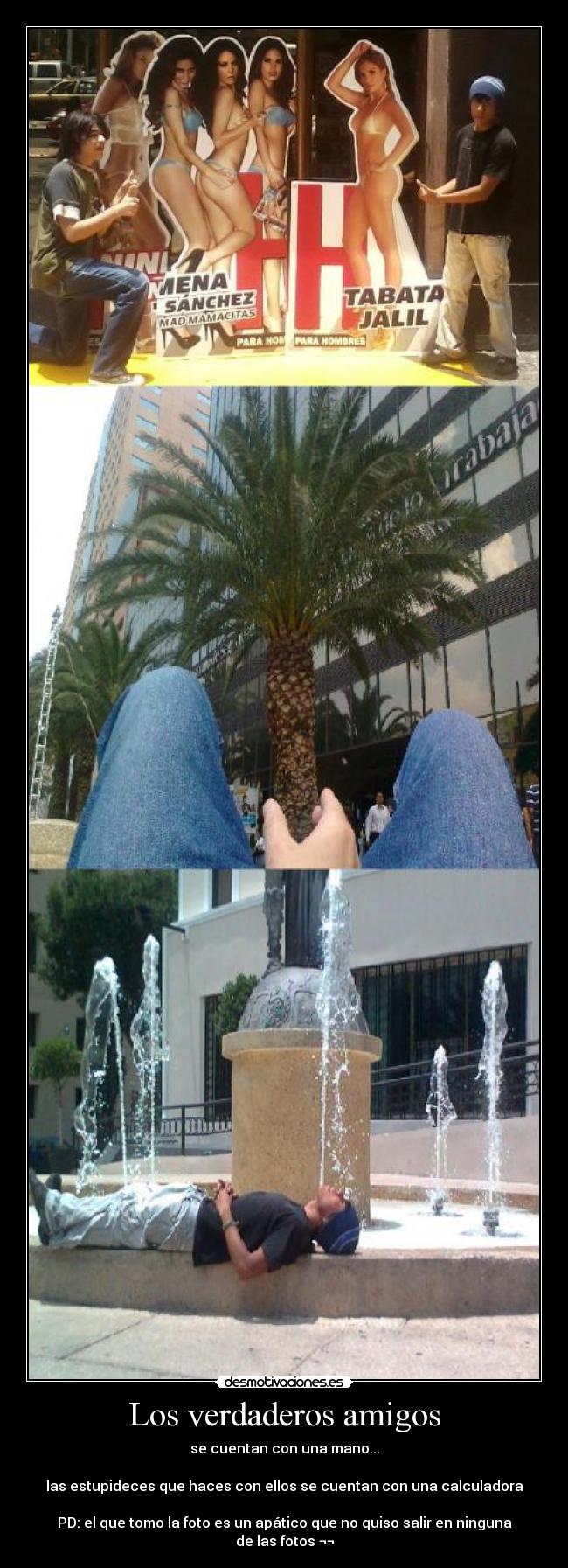 Los verdaderos amigos -