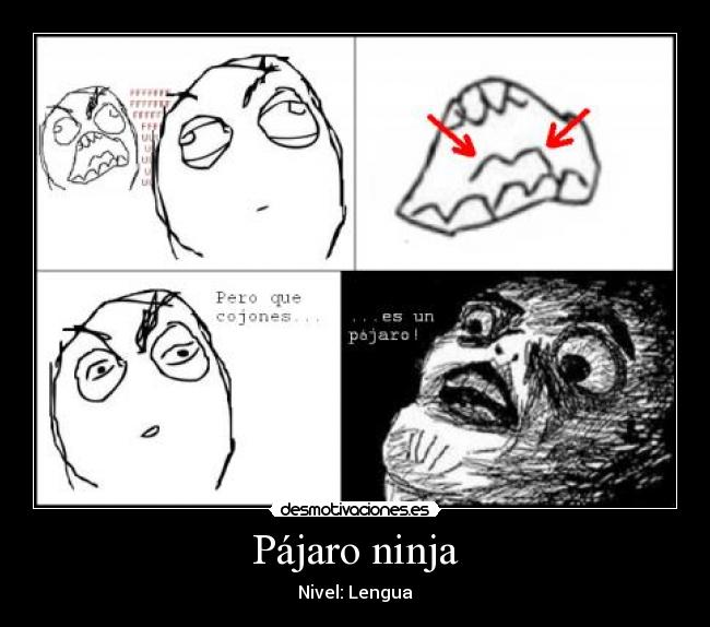 Pájaro ninja - Nivel: Lengua