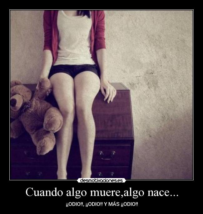 carteles pertur desmotivaciones