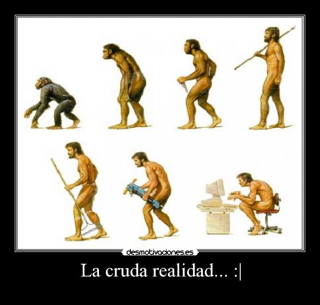 La cruda realidad... :| - 