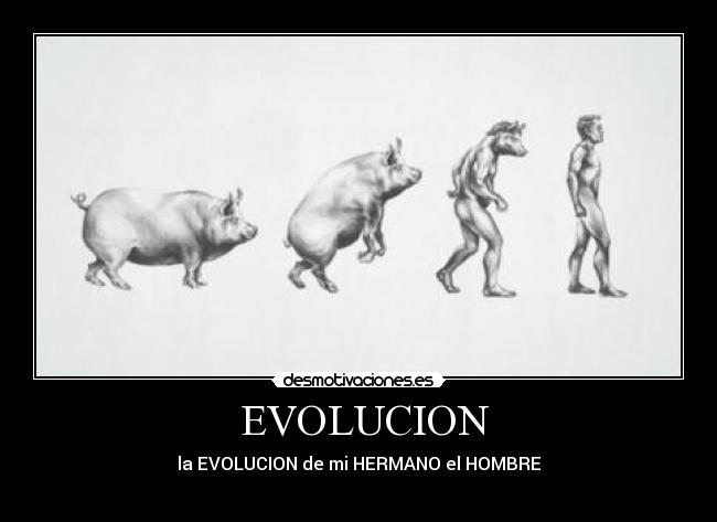 EVOLUCION -