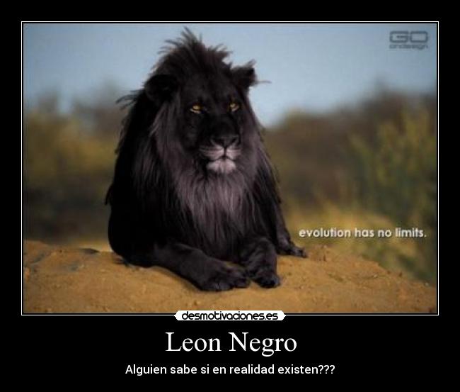 Leon Negro -