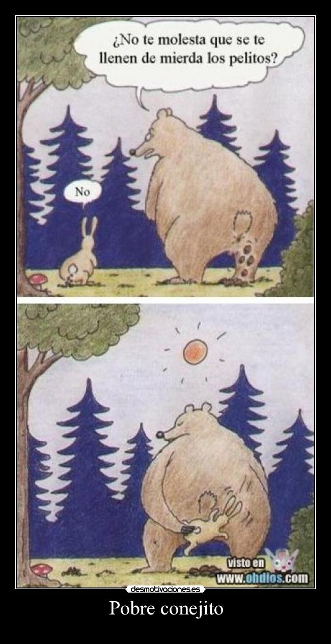 Pobre conejito - 