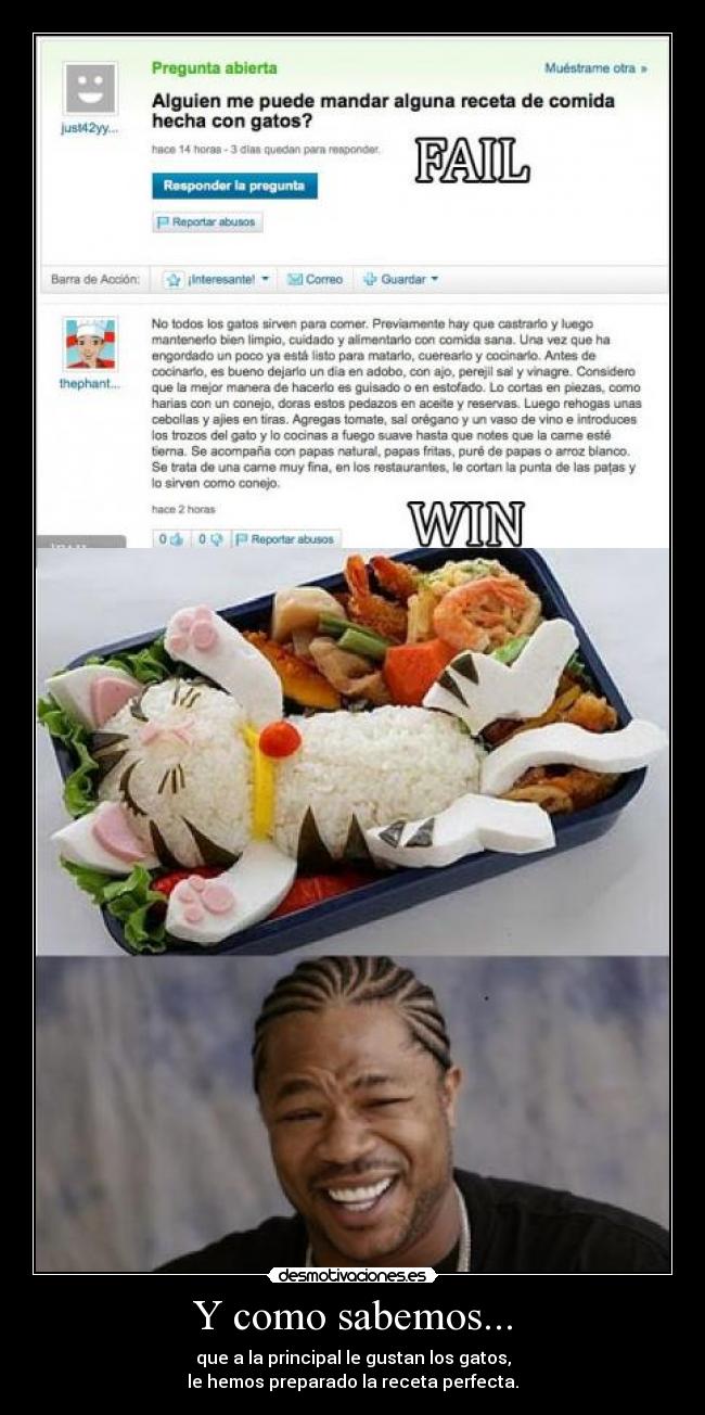 Y como sabemos... - que a la principal le gustan los gatos,
le hemos preparado la receta perfecta.