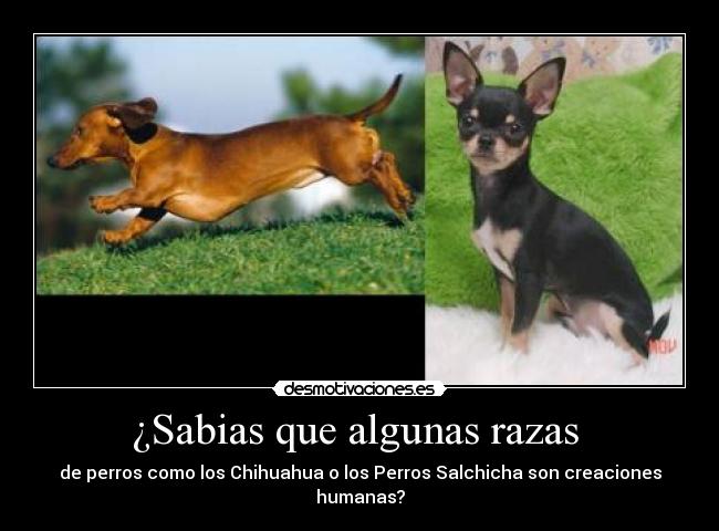 carteles argon_97 desmotivaciones