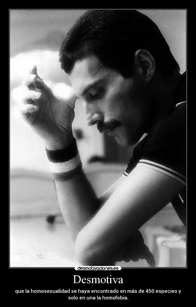 Desmotiva - que la homosexualidad se haya encontrado en más de 450 especies y
solo en una la homofobia.