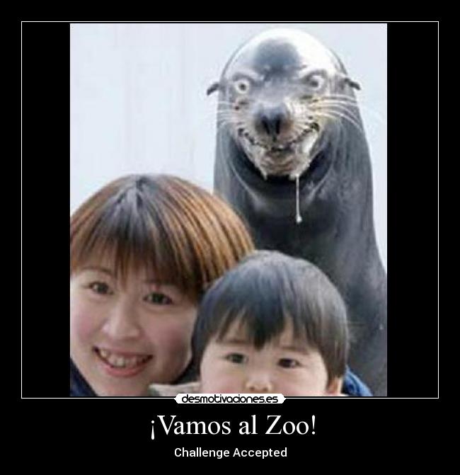 ¡Vamos al Zoo! - Challenge Accepted