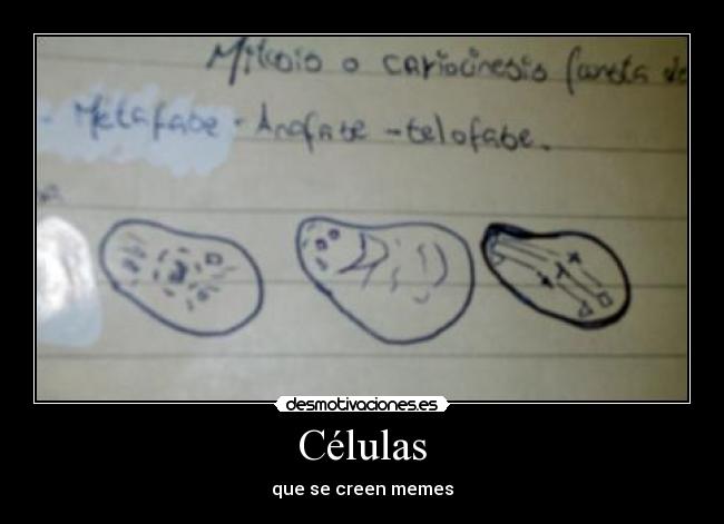 Células - que se creen memes