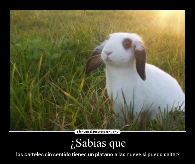 ¿Sabias que - los carteles sin sentido tienes un platano a las nueve si puedo saltar?