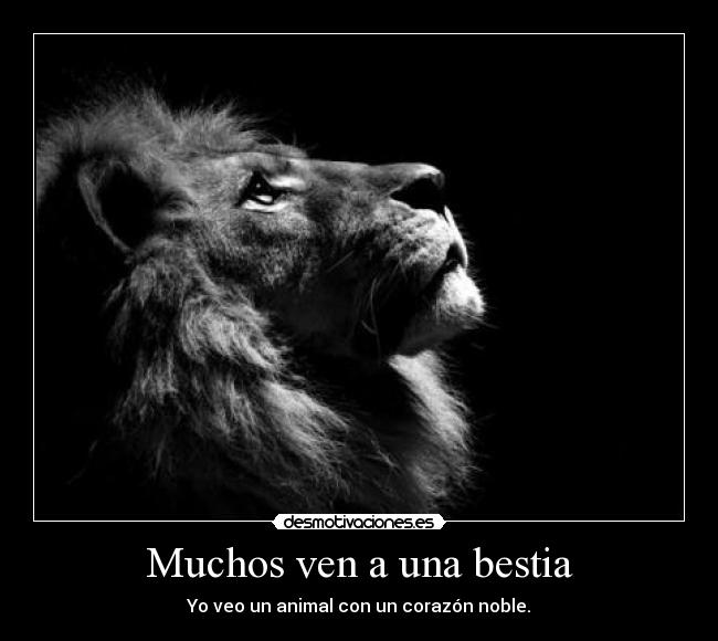 Muchos ven a una bestia - Yo veo un animal con un corazón noble.