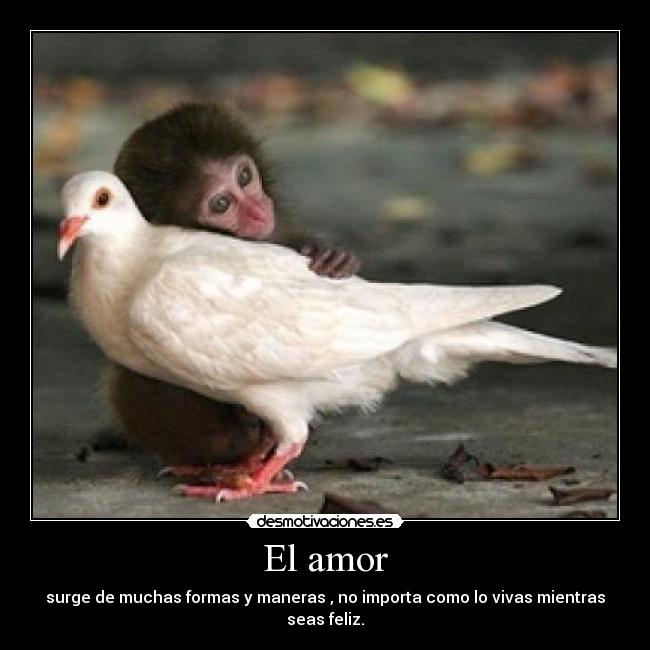 El amor - surge de muchas formas y maneras , no importa como lo vivas mientras seas feliz.