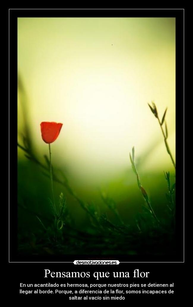 Pensamos que una flor -
