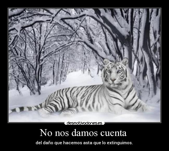 No nos damos cuenta -