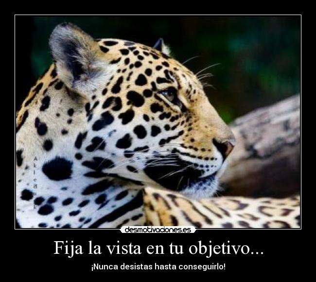 Fija la vista en tu objetivo... - 