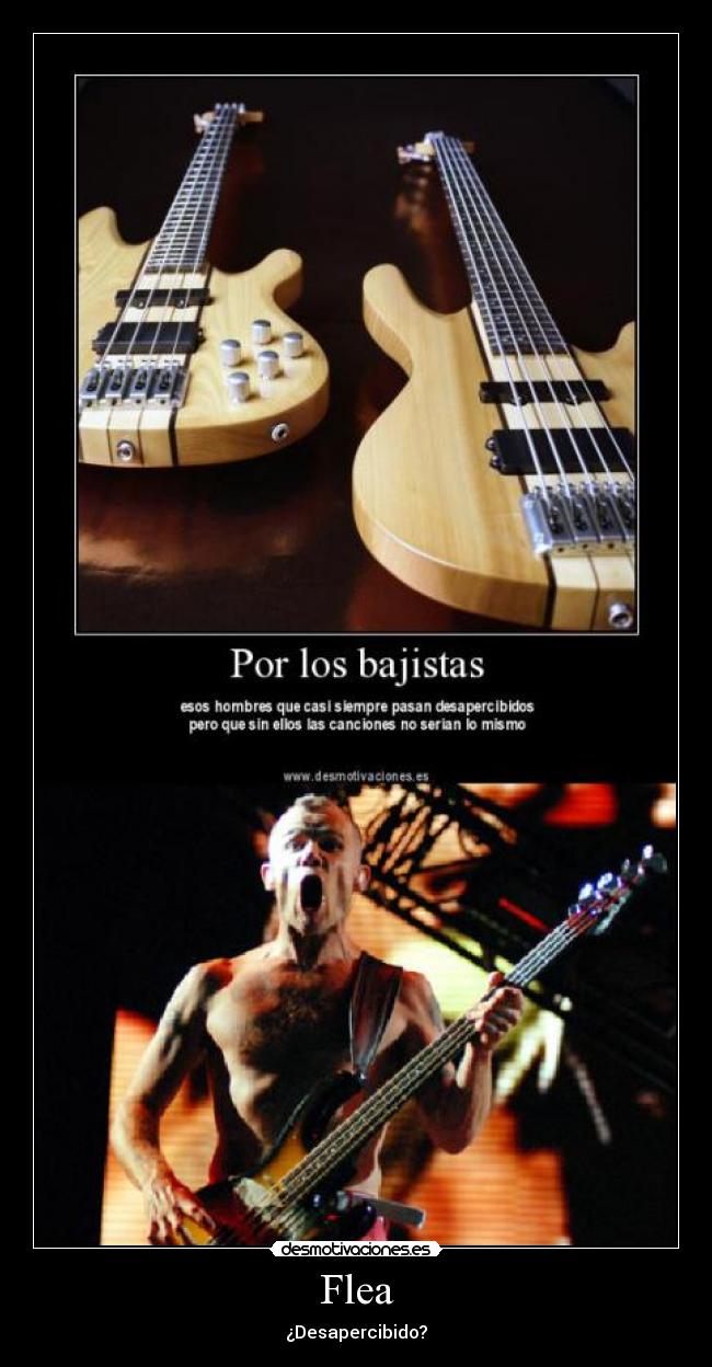 carteles flea los red hot chili peppers bajista que hace notar precencia hace honor bajo desmotivaciones