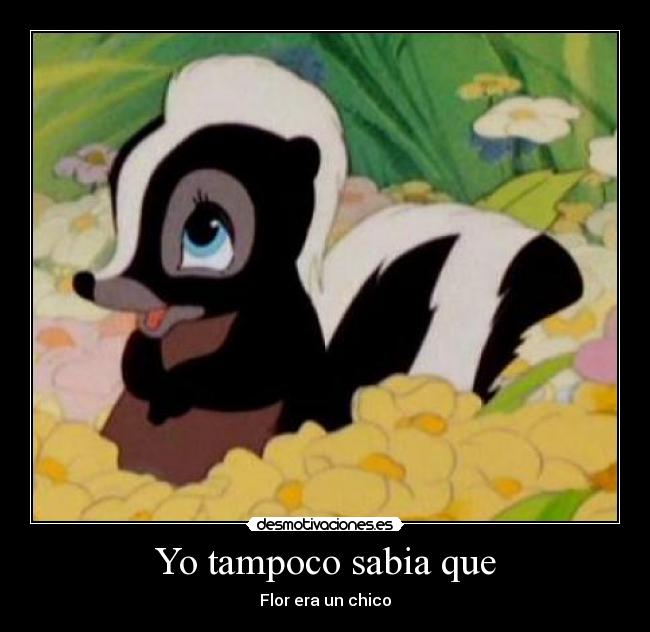 Yo tampoco sabia que -