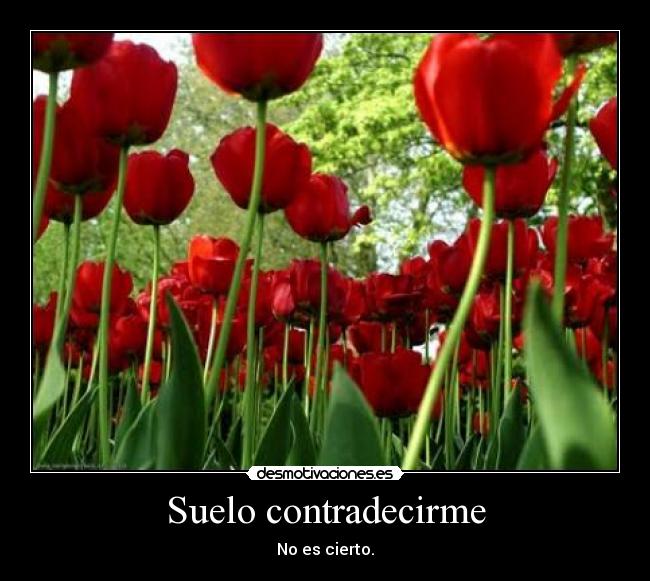 Suelo contradecirme - 