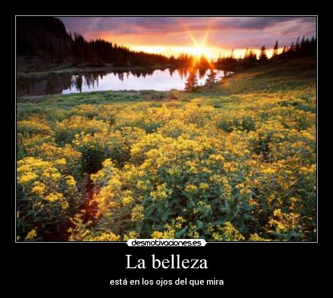 La belleza - está en los ojos del que mira
