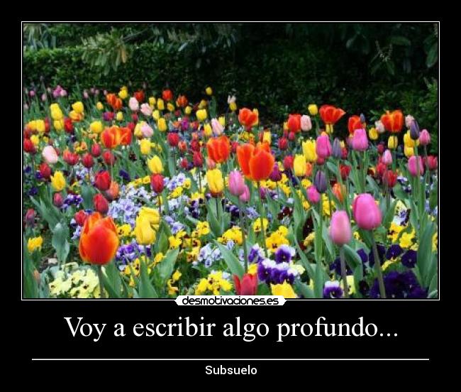 carteles escribir profundo subsuelo desmotivaciones