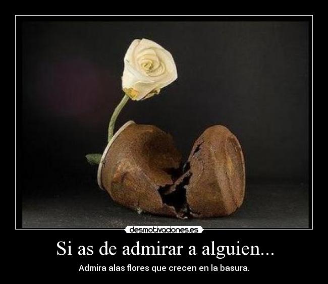 Si as de admirar a alguien... - Admira alas flores que crecen en la basura.