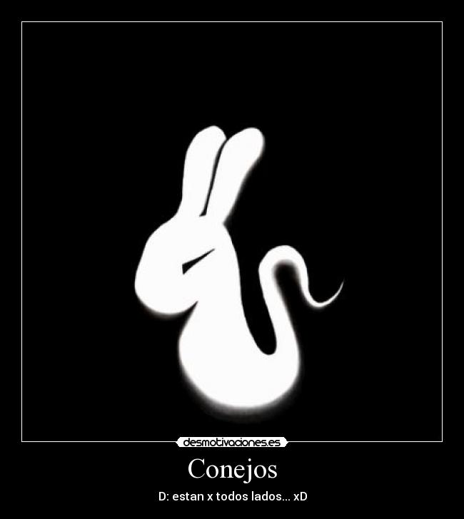 Conejos - D: estan x todos lados... xD