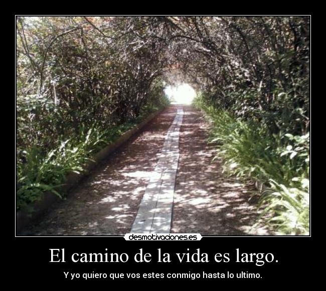 El camino de la vida es largo. - 