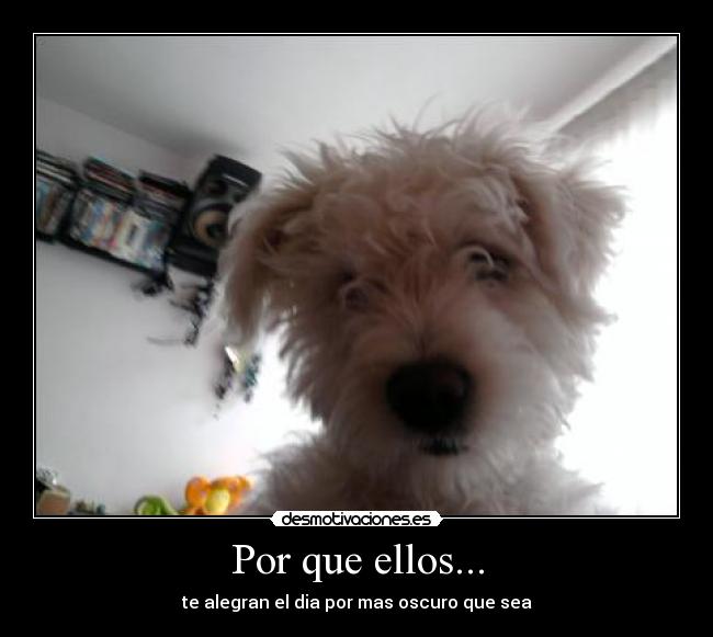 Por que ellos... -