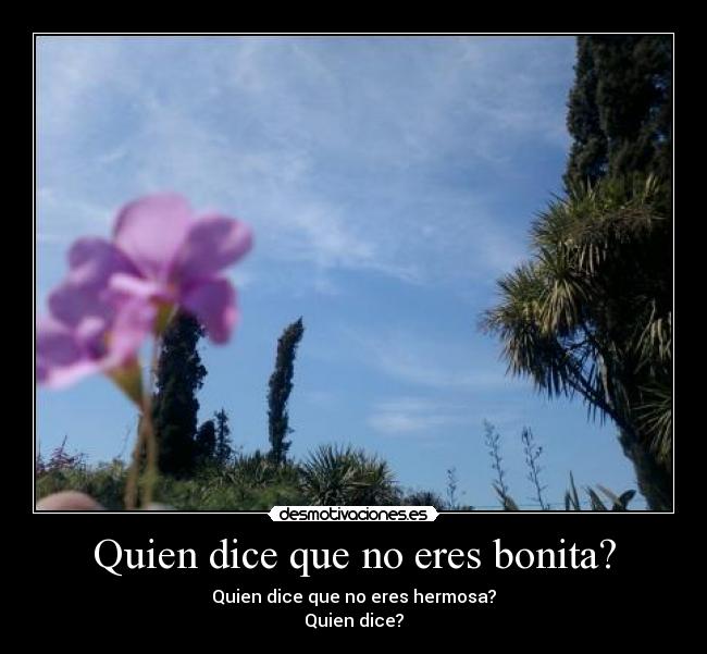 Quien dice que no eres bonita? -