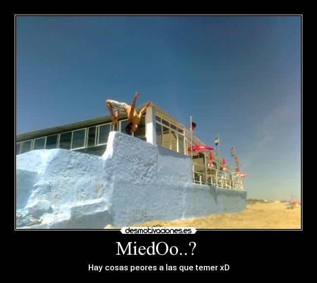 MiedOo..?  - 
