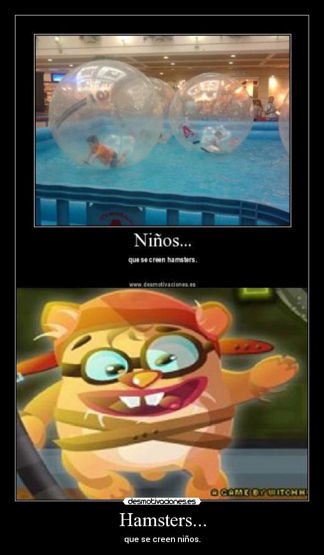 Hamsters... - 