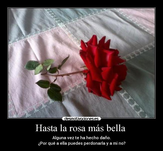 carteles jars shablazz perdoname por favor desmotivaciones