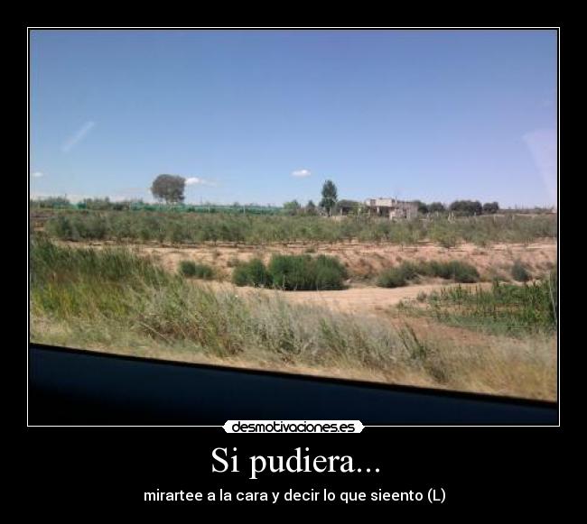Si pudiera... - 