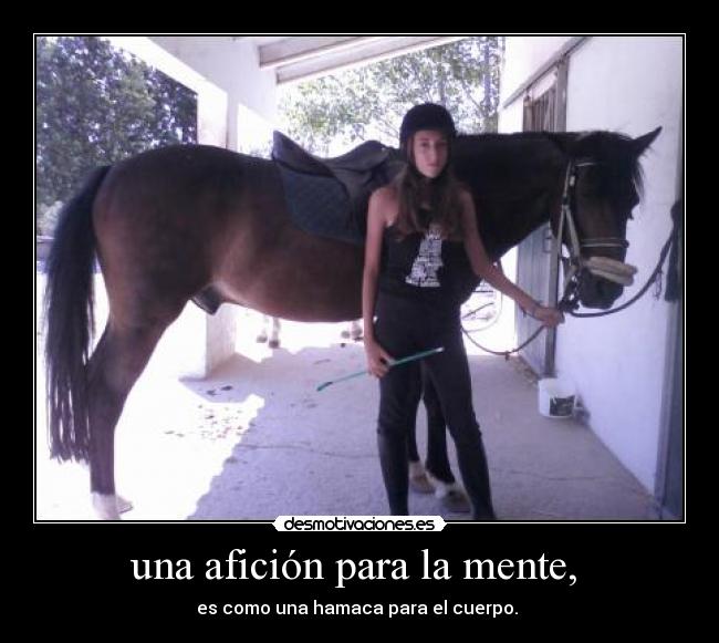 carteles elvira15 desmotivaciones