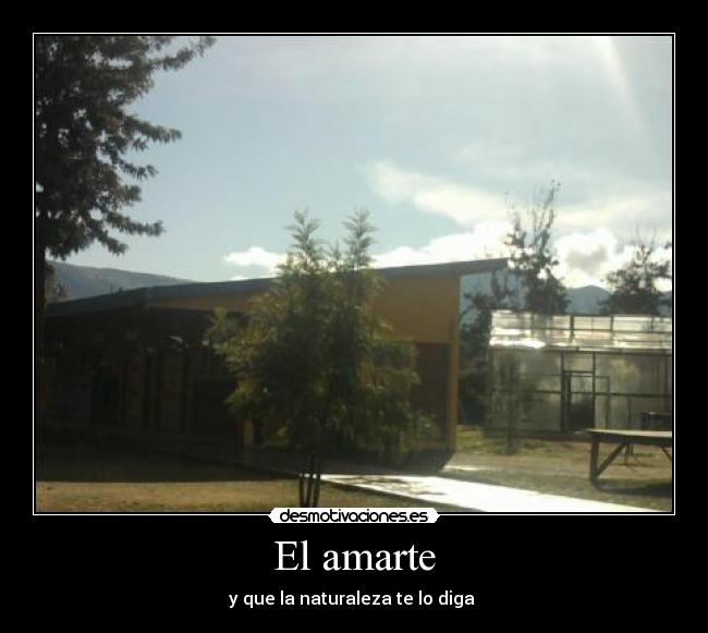 El amarte - y que la naturaleza te lo diga 