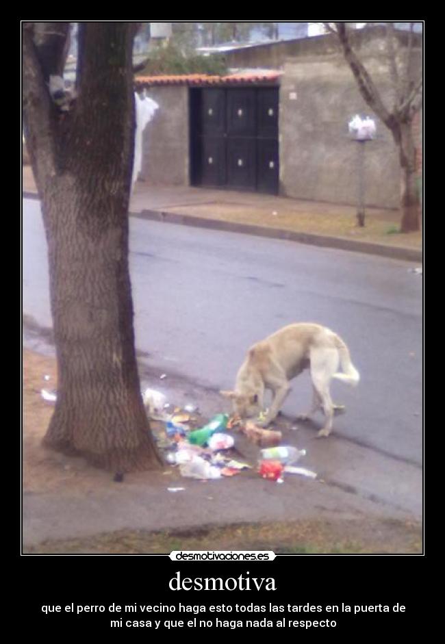 carteles sebas_32 desmotivaciones