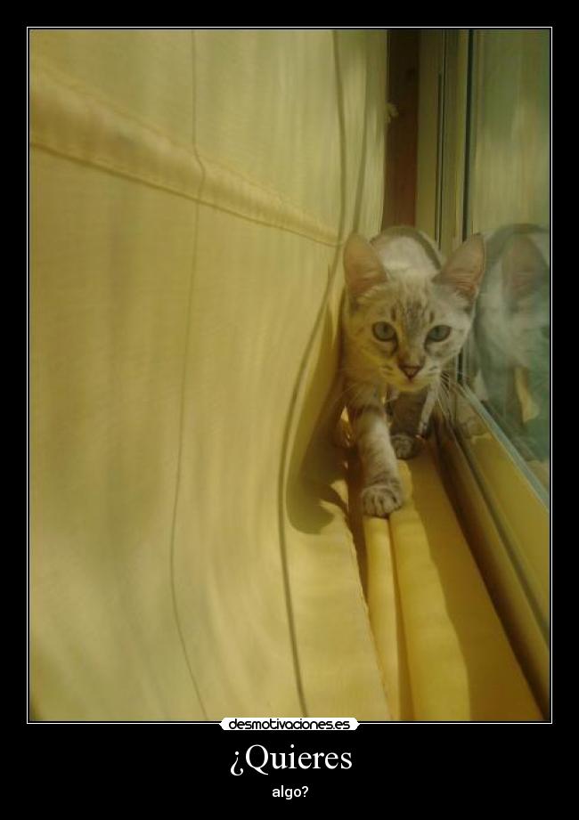 ¿Quieres - 