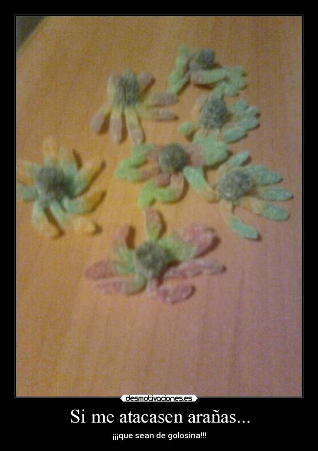 Si me atacasen arañas... -