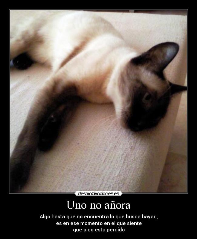 carteles anoranza desmotivaciones