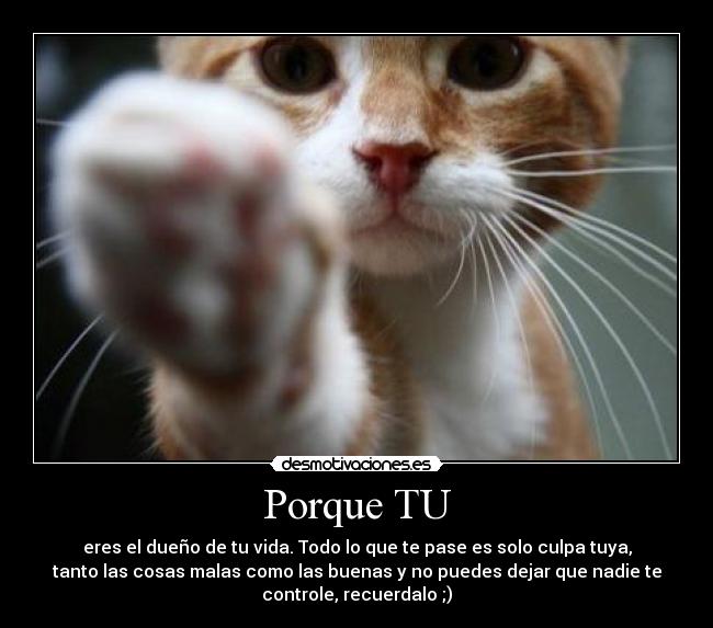 Porque TU - eres el dueño de tu vida. Todo lo que te pase es solo culpa tuya,
tanto las cosas malas como las buenas y no puedes dejar que nadie te
controle, recuerdalo ;)