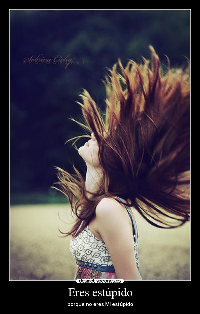 Eres estúpido - porque no eres MI estúpido