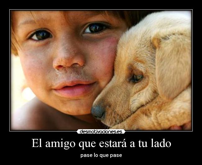 El amigo que estará a tu lado - pase lo que pase