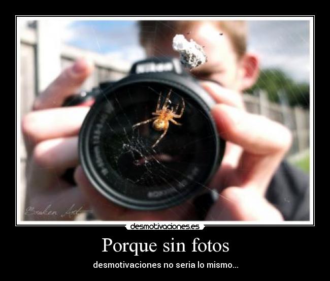 Porque sin fotos - 