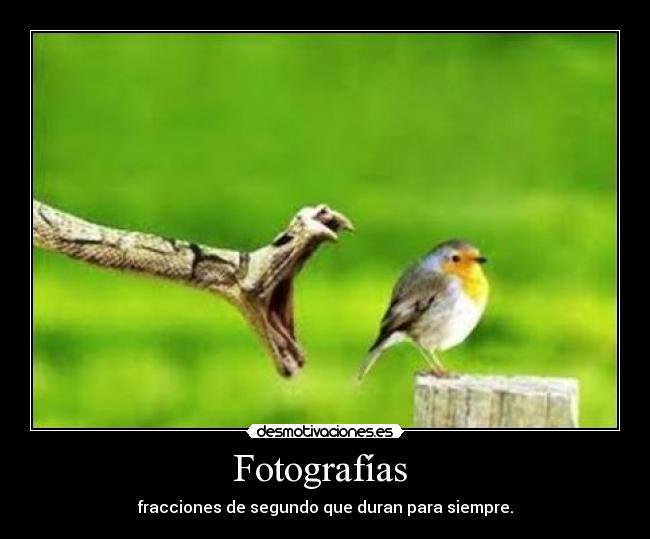 Fotografías -