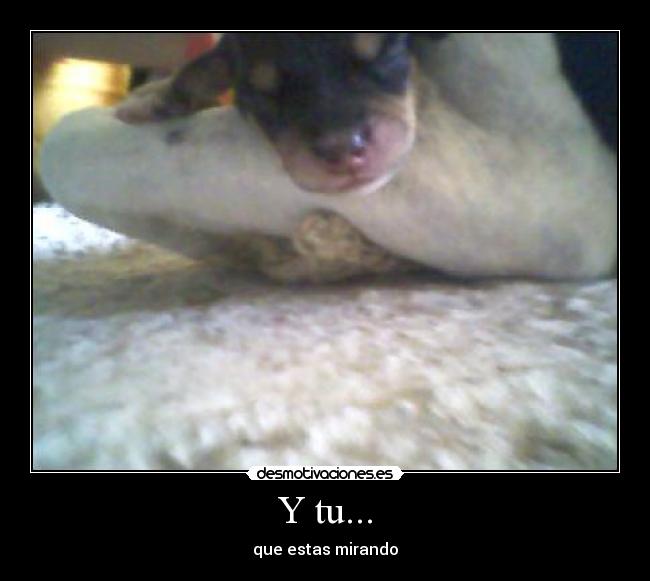 Y tu... - 
