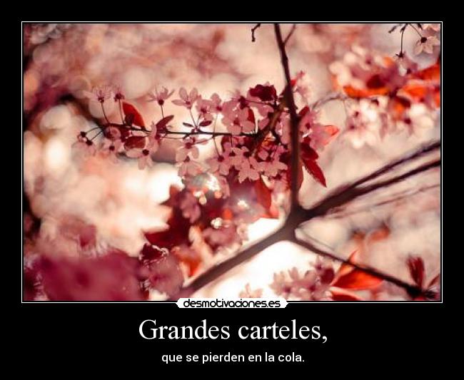 Grandes carteles, - 