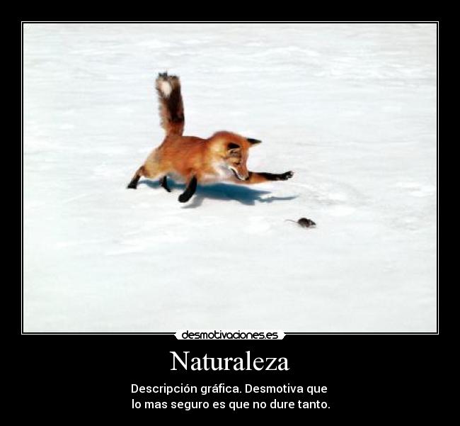 Naturaleza - 