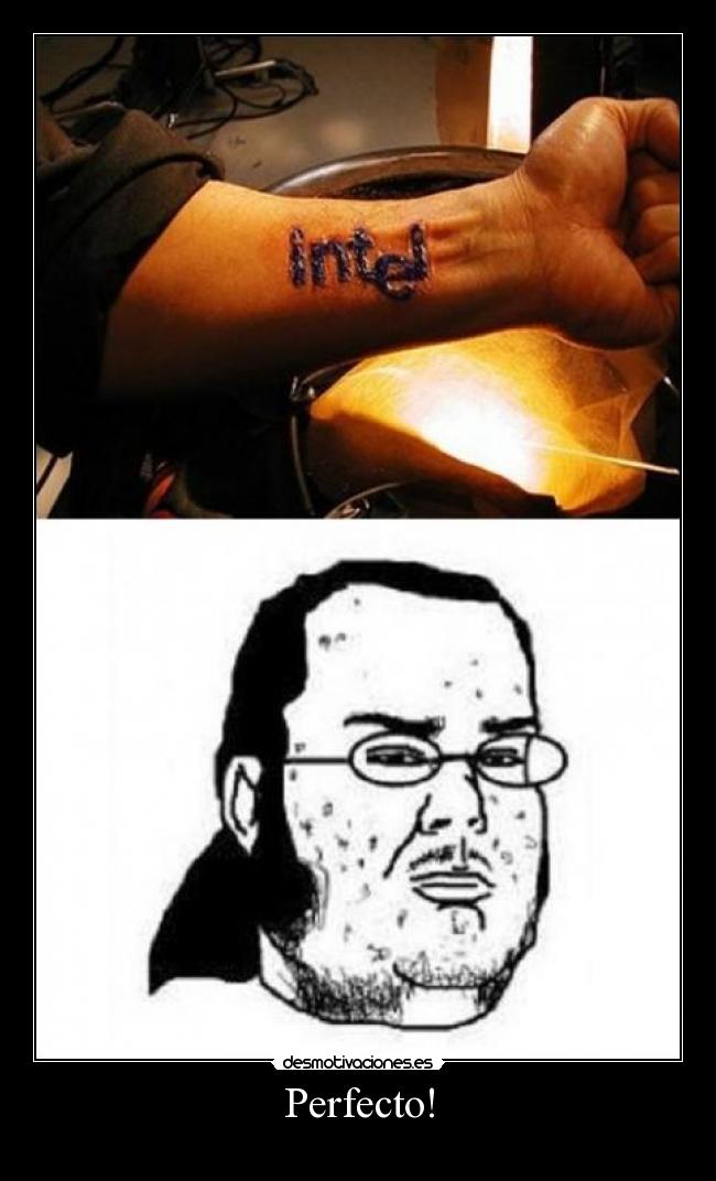 Perfecto! - 