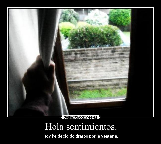 Hola sentimientos. -