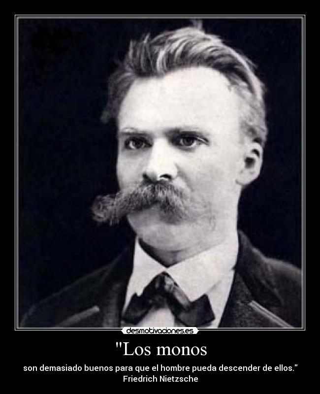 Los monos - son demasiado buenos para que el hombre pueda descender de ellos.
Friedrich Nietzsche