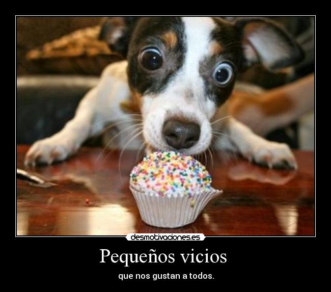 carteles pequenos vicios que nos gustan todos dri desmotivaciones